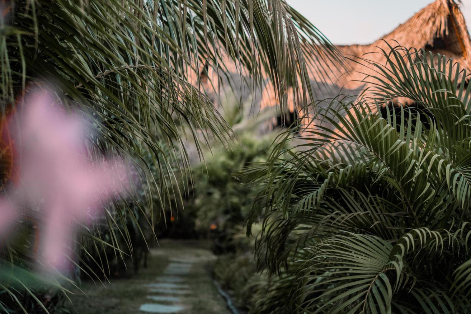 Swell Hotel El Paredon Buena Vista Luaran gambar